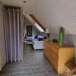 Ancien Moulin Pres D'un Ruisseau Tatil Evi *