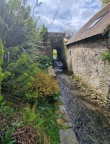 Ancien Moulin Près D'un Ruisseau * Sallen